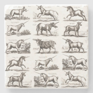 Posavasos De Piedra Grabado Antiguo de Unicornio Especimen de Zoología