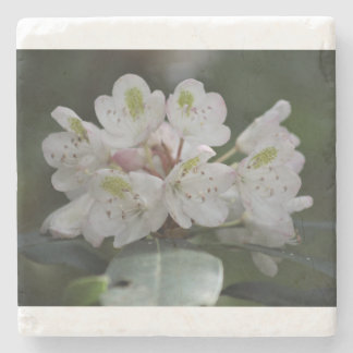 Posavasos De Piedra Gran Laurel