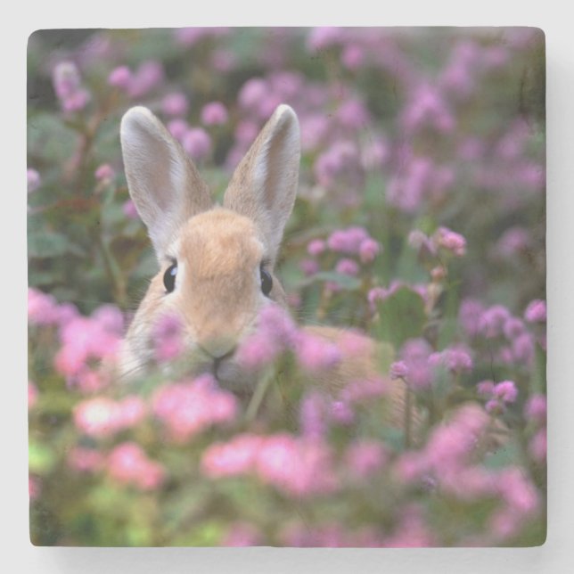 Posavasos De Piedra Granja de conejo (Anverso)