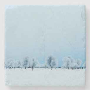 Posavasos De Piedra Granja del invierno