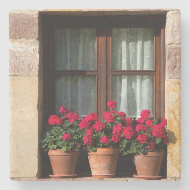 Posavasos De Piedra Granjas de flores en la aldea (Anverso)