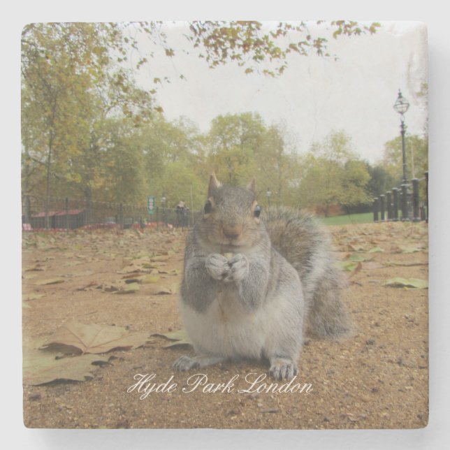 Posavasos De Piedra Gray Squirrel Hyde Park Londres. (Anverso)