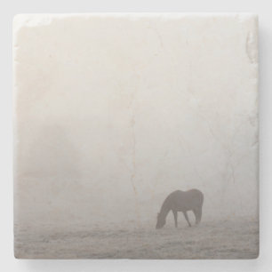 Posavasos De Piedra Graznido de niebla