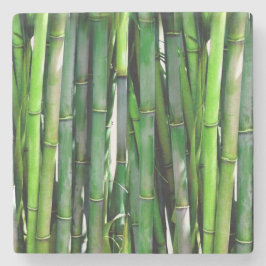 Posavasos De Piedra Green Bamboo Stalks Nature Photography