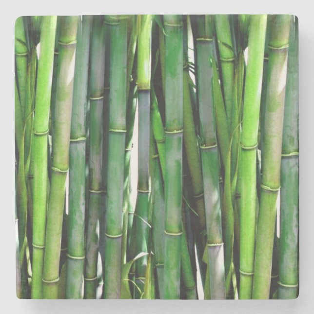 Posavasos De Piedra Green Bamboo Stalks Nature Photography (Anverso)