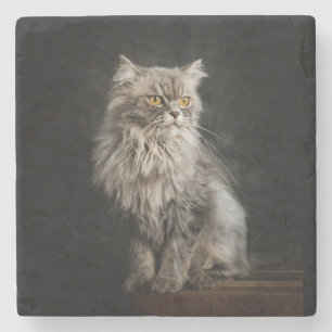 Posavasos De Piedra Gris Fluffy Cat