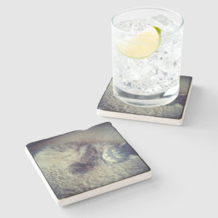 Posavasos De Piedra Gris gato-Instagram de Shirley Taylor