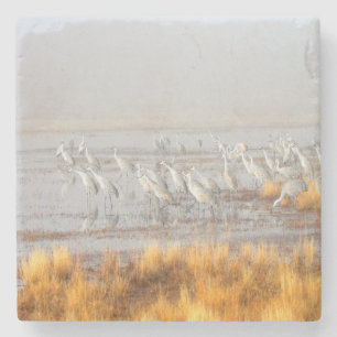 Posavasos De Piedra Grúas brumosas de Sandhill