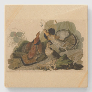 Posavasos De Piedra Grueso espumoso - de los pájaros de los Estados Un