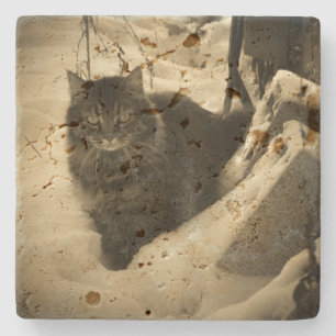 Posavasos De Piedra Grumpy Angel Cat en Nieve