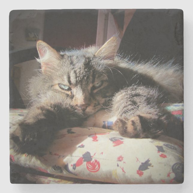 Posavasos De Piedra Grumpy Angel Cat es sospechosa (Anverso)