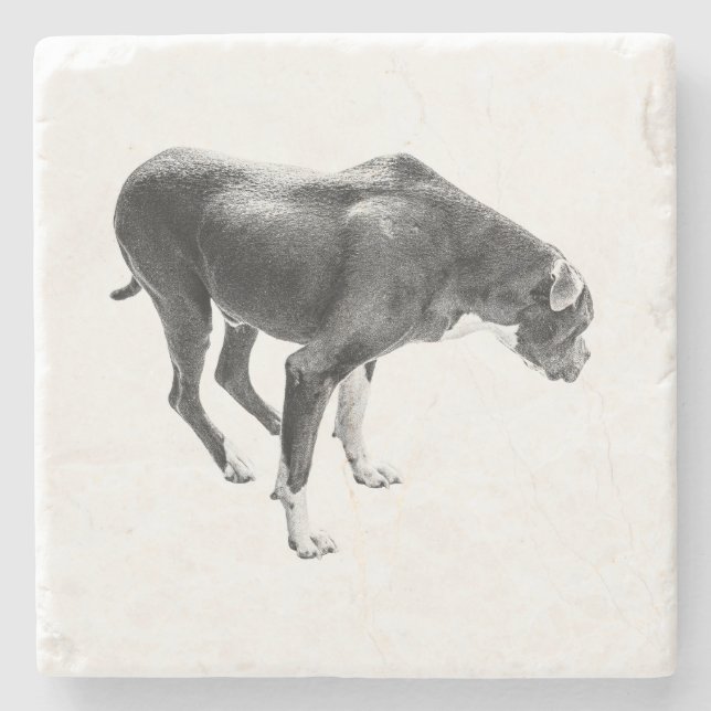 Posavasos De Piedra Guardián de tabla de otoño (Anverso)