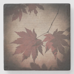 Posavasos De Piedra guión elegante de hoja de arce japonés otoño rojo 