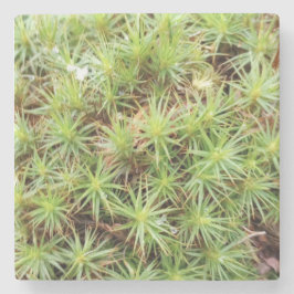 Posavasos De Piedra Haircap Moss Stone Coaster