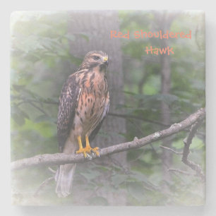 Posavasos De Piedra Halcón místico