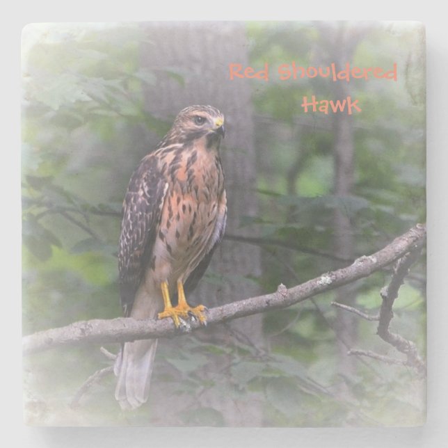 Posavasos De Piedra Halcón místico (Anverso)