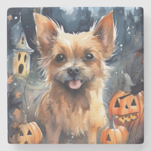 Posavasos De Piedra Halloween Australian Terrier con calabazas aterrad