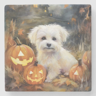 Posavasos De Piedra Halloween Coton De Tulear Con Calabazas Espeluznan