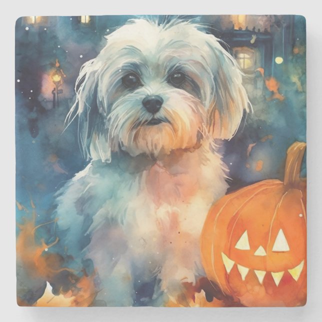 Posavasos De Piedra Halloween Havanese con calabazas aterradoras (Anverso)