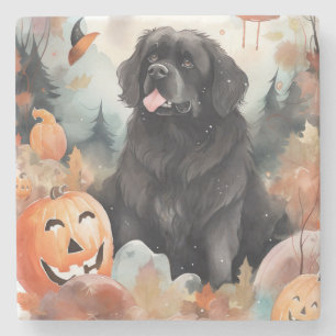 Posavasos De Piedra Halloween Newfoundland con calabazas aterrador