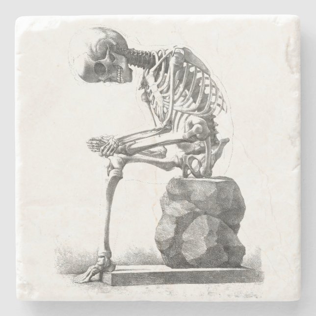 Posavasos De Piedra Halloween Skeleton Sitting Anatomy (Anverso)