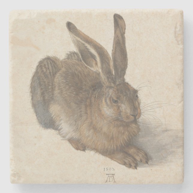 Posavasos De Piedra Hare (de Albrecht Dürer) (Anverso)