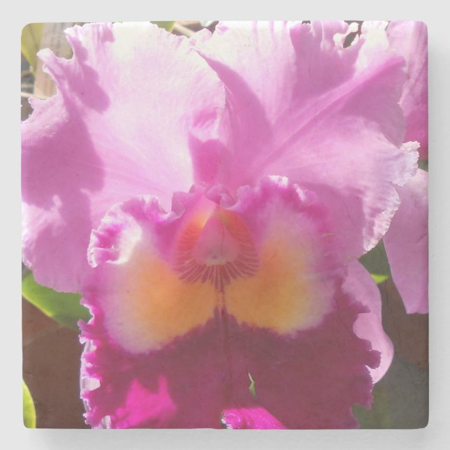 Posavasos De Piedra Harlinde (Anverso)