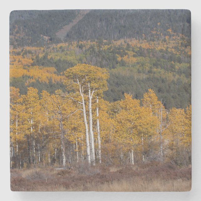 Posavasos De Piedra Hart Prairie (Anverso)