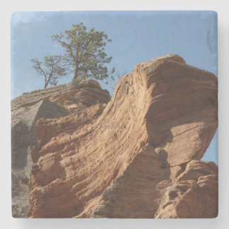 Posavasos De Piedra Hasta Angels Landing en el Parque Nacional Zion