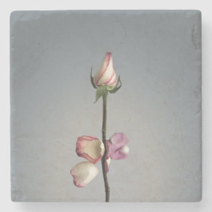 Posavasos De Piedra Hasta el último pétalo...