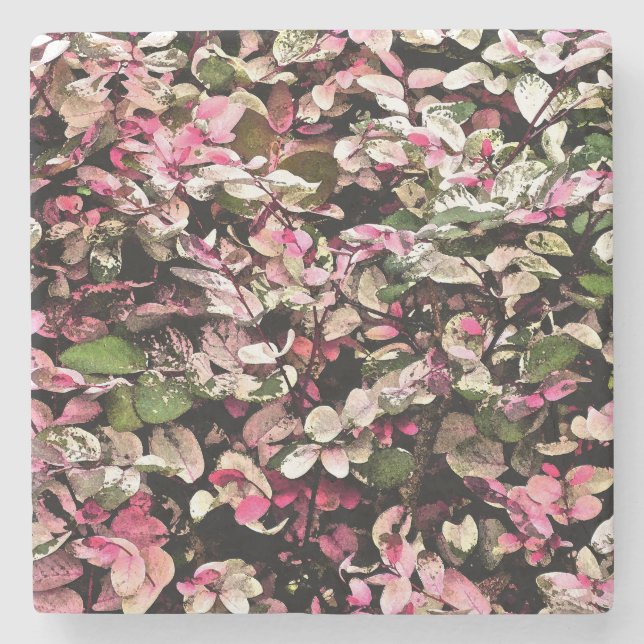 POSAVASOS DE PIEDRA "HAWAIIAN SNOWBUSH"/ROMPOS, VERDES Y BLANCOS (Anverso)