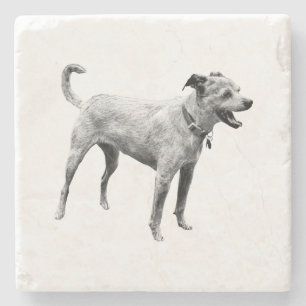 Posavasos De Piedra Hayride Echo