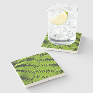 Posavasos De Piedra helecho verde