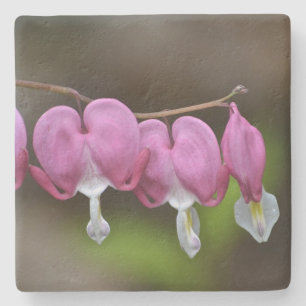 Posavasos De Piedra Hemorragia Cardíaca Floral