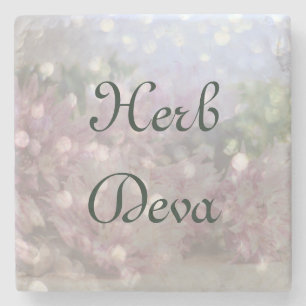 Posavasos De Piedra Herb Deva