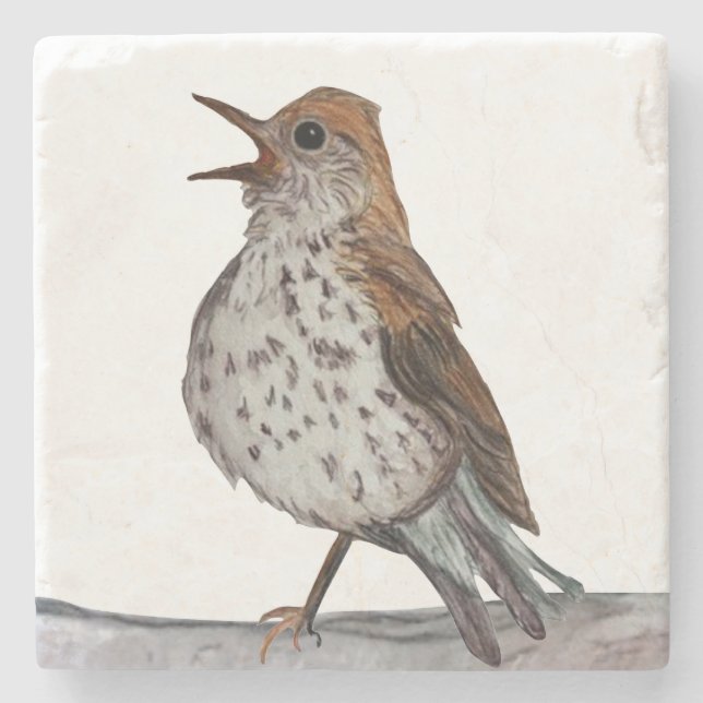 Posavasos De Piedra Hermit Thrush Stone Coaster (Anverso)