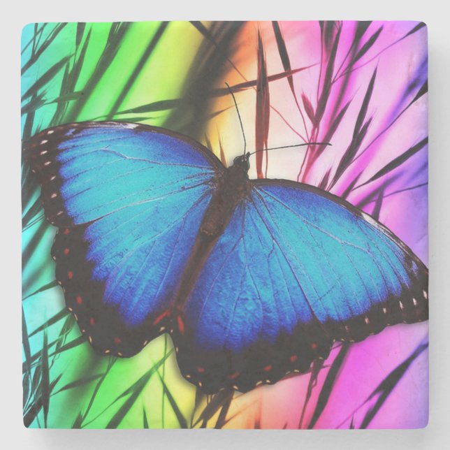 Posavasos De Piedra Hermosa mariposa morfa azul (Anverso)