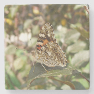 Posavasos De Piedra Hermosa montaña de piedra de mariposa