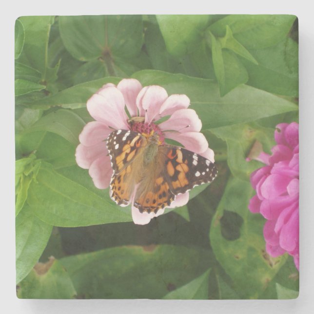 Posavasos De Piedra Hermosa montaña de piedra de mariposa (Anverso)