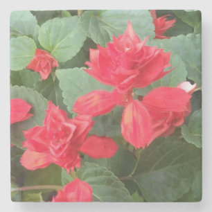 Posavasos De Piedra Hermosa montaña rusa de piedra de flores rojas