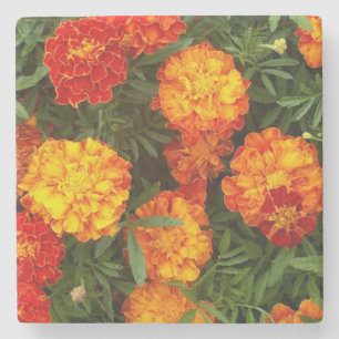 Posavasos De Piedra Hermosa montaña rusa de piedra de Marigoles