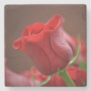 Posavasos De Piedra Hermosa Rosa Roja