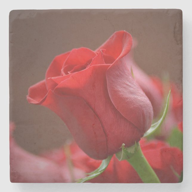 Posavasos De Piedra Hermosa Rosa Roja (Anverso)