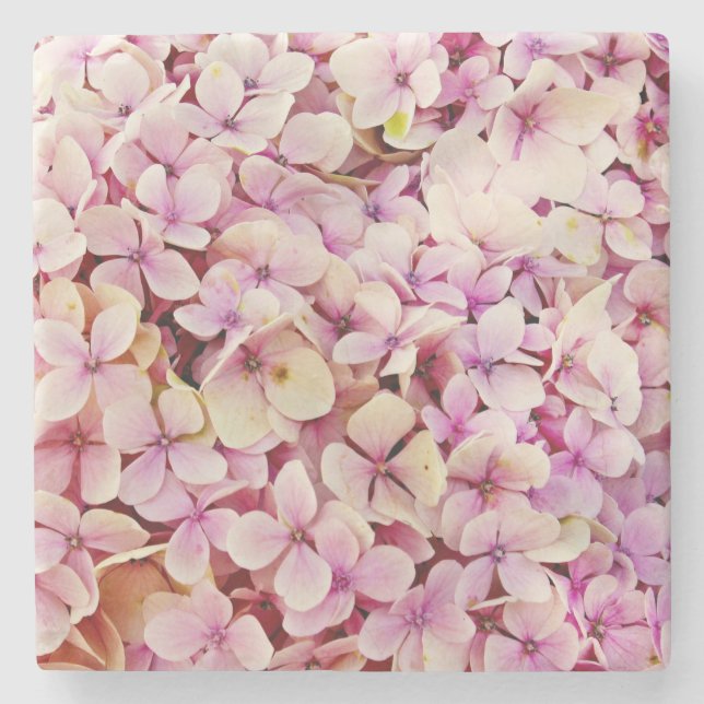 Posavasos De Piedra Hermosas flores de Hydrangea (Anverso)