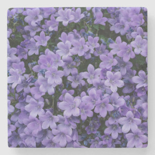 Posavasos De Piedra Hermosas flores moradas