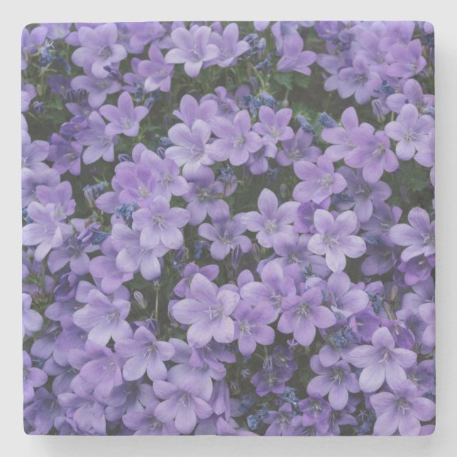 Posavasos De Piedra Hermosas flores moradas (Anverso)
