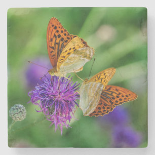 Posavasos De Piedra Hermosas mariposas