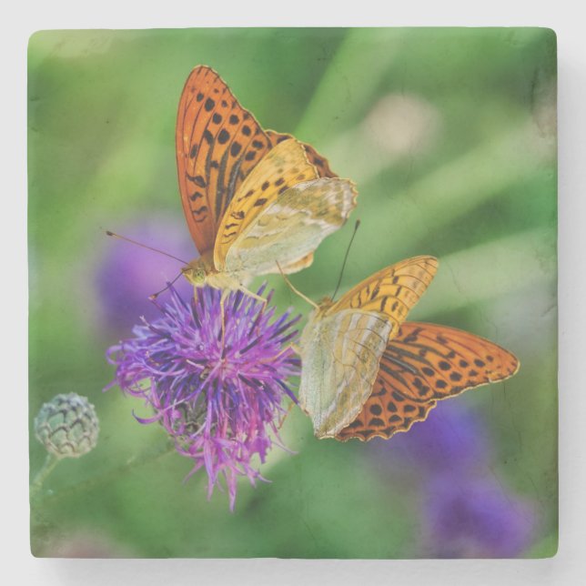 Posavasos De Piedra Hermosas mariposas (Anverso)