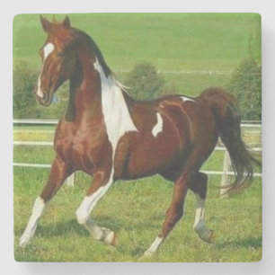 Posavasos De Piedra Hermoso caballo