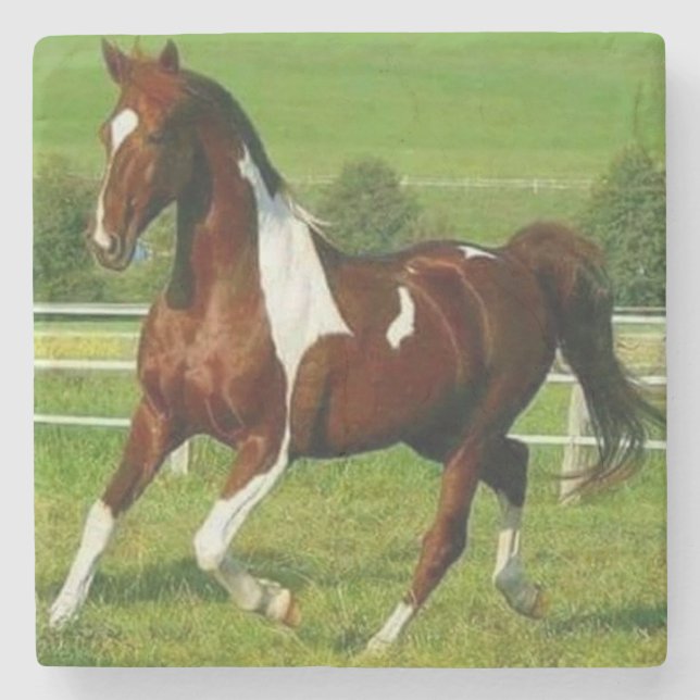 Posavasos De Piedra Hermoso caballo (Anverso)